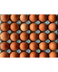 Free Range Eggs Large 15doz